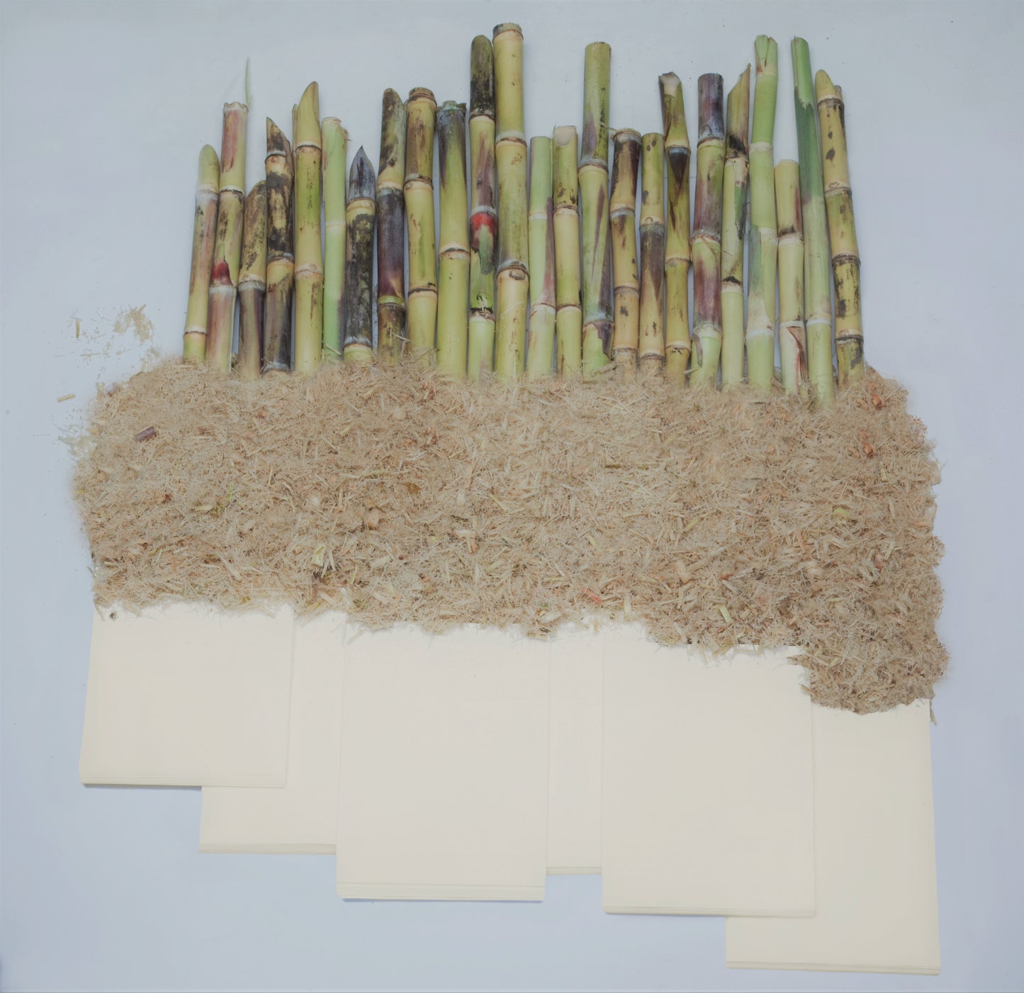 Kopierpapier A4 – naturfarbenes Bagassepapier 2.500 Blatt